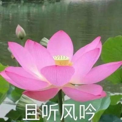 黑龙江省牡丹江市人大常委会原党组成员、副主任李彬接受审查调查